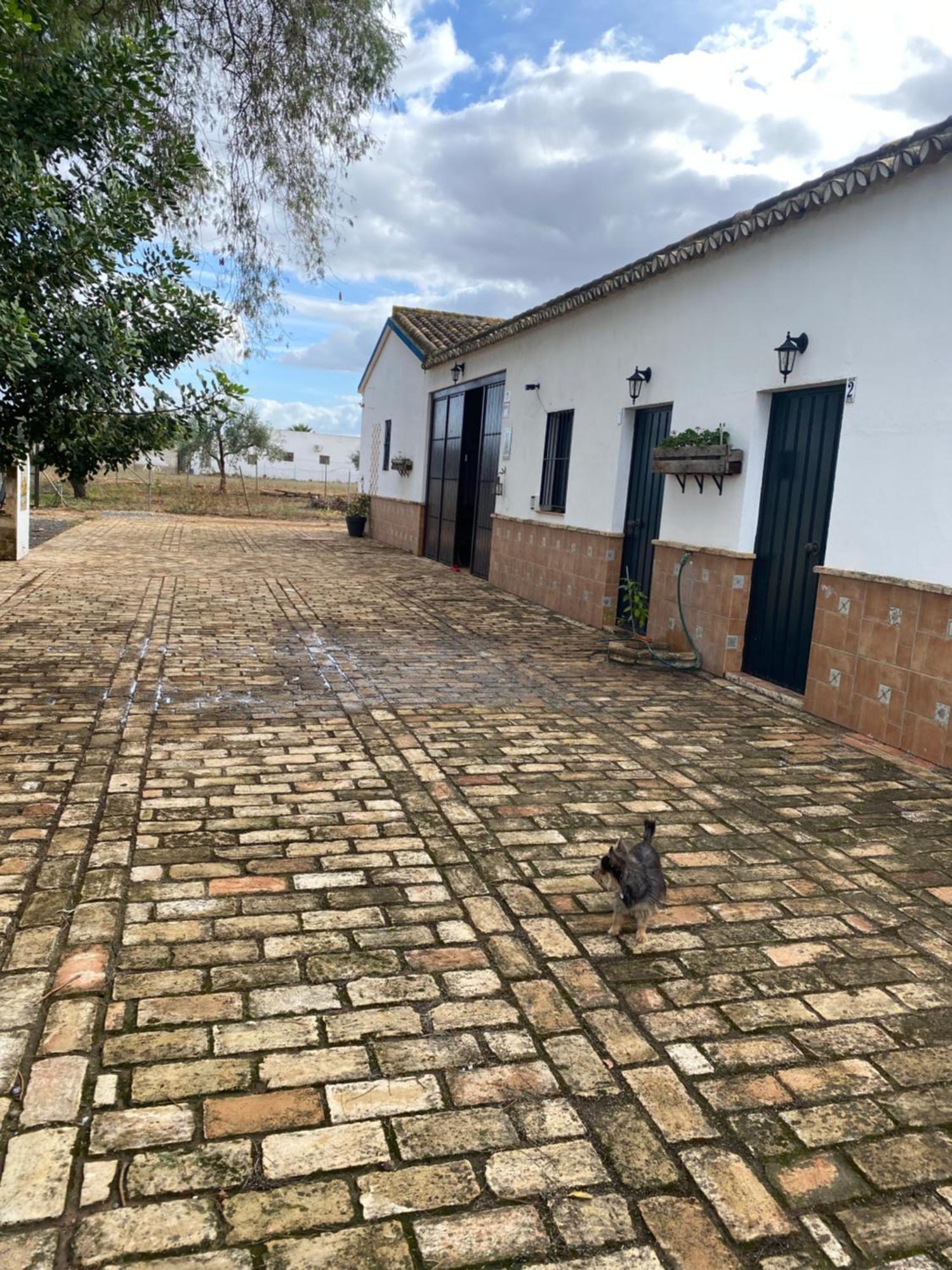 Casa Los Laureles Pilas Exteriér fotografie