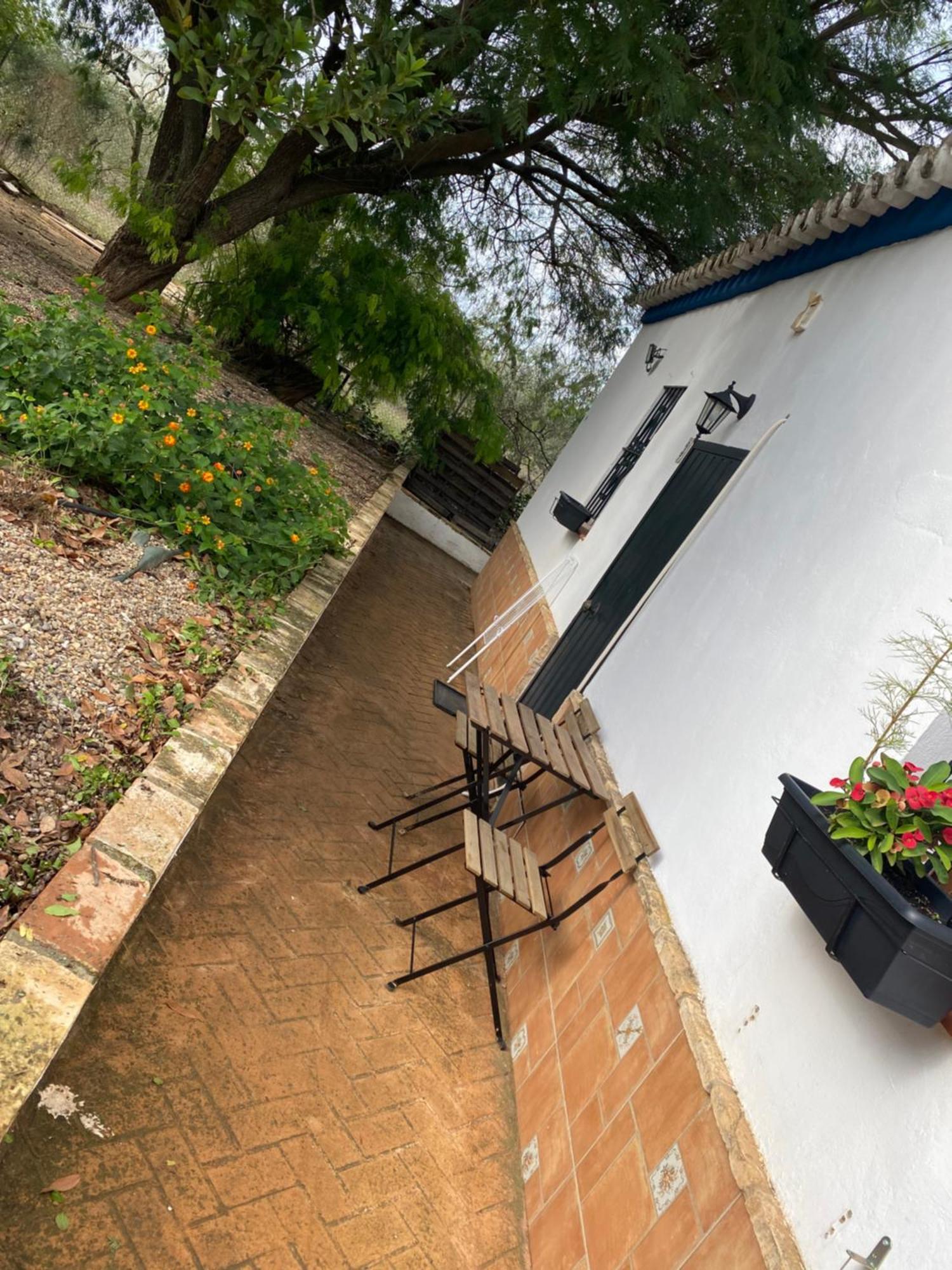 Casa Los Laureles Pilas Exteriér fotografie