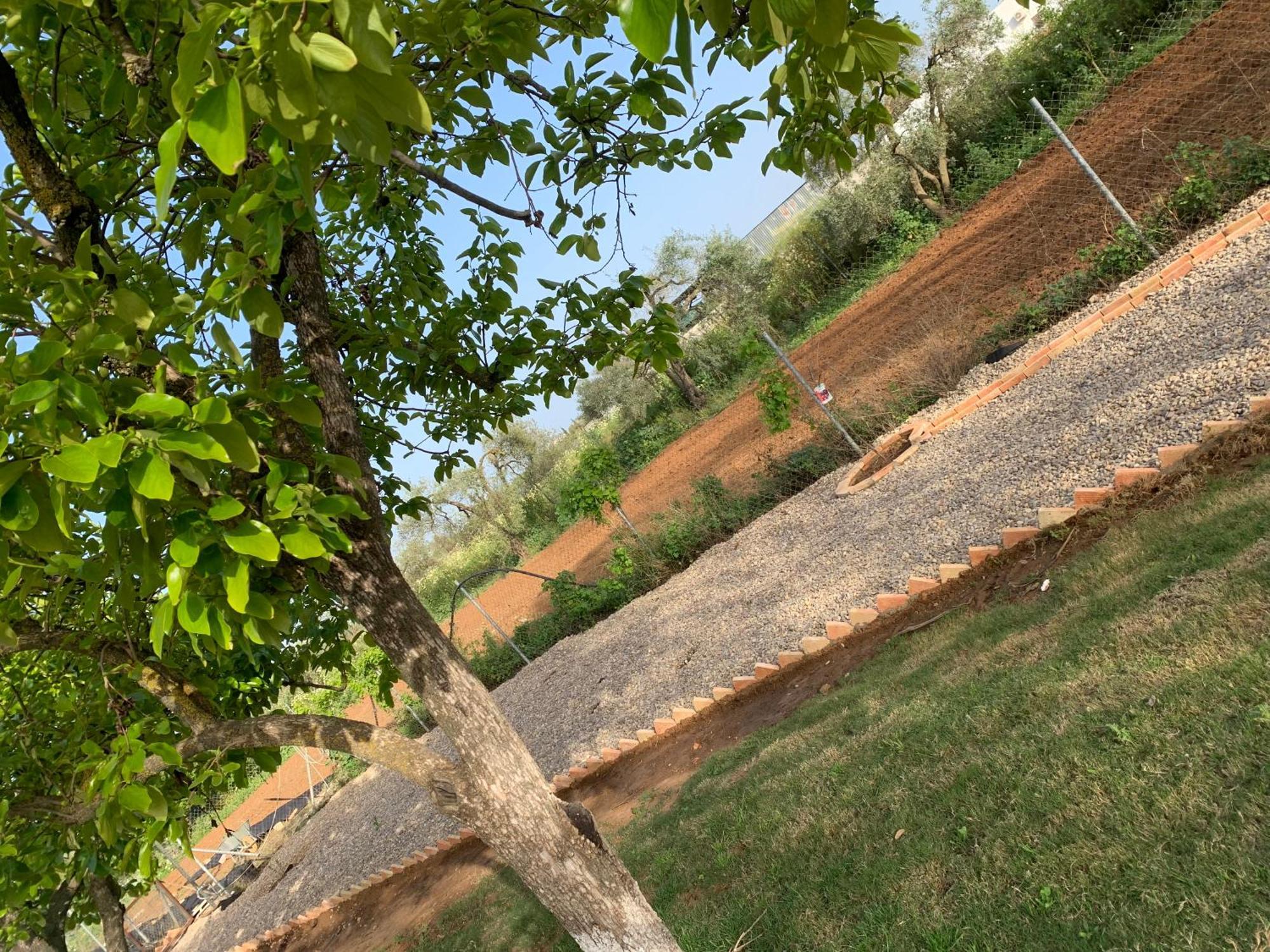 Casa Los Laureles Pilas Exteriér fotografie