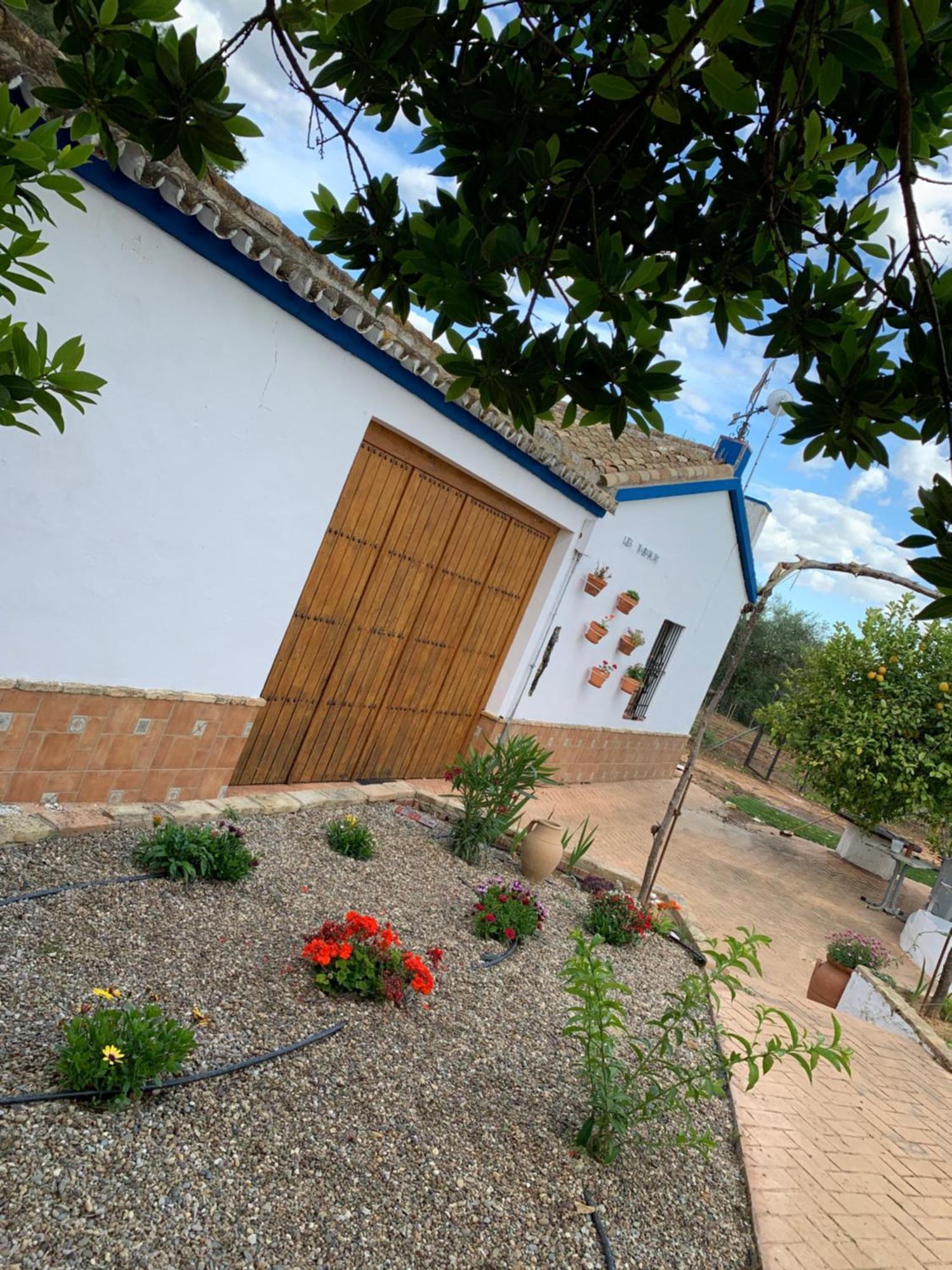Casa Los Laureles Pilas Exteriér fotografie