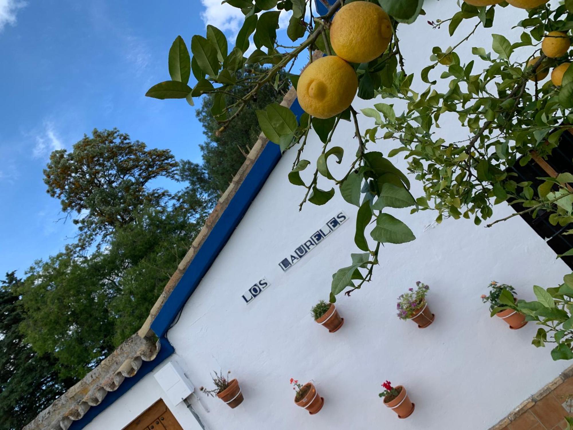 Casa Los Laureles Pilas Exteriér fotografie